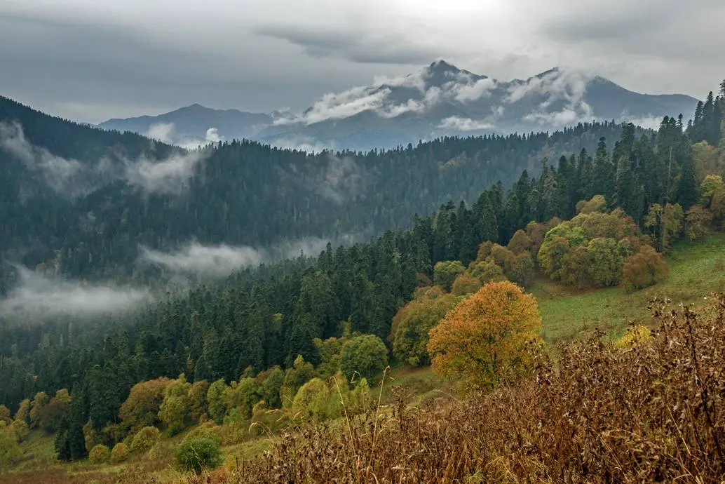 10 Interesting Facts About the Caucasus Mountains