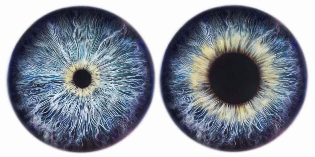 10 interesting facts about the eyes and human vision