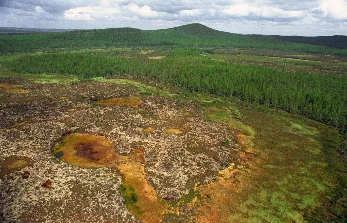 10 interesting facts about the Tunguska meteorite that are still difficult to explain