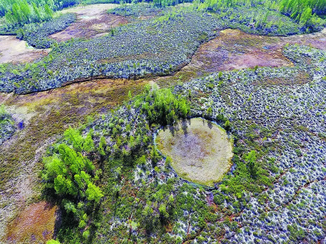 10 interesting facts about the Tunguska meteorite that are still difficult to explain