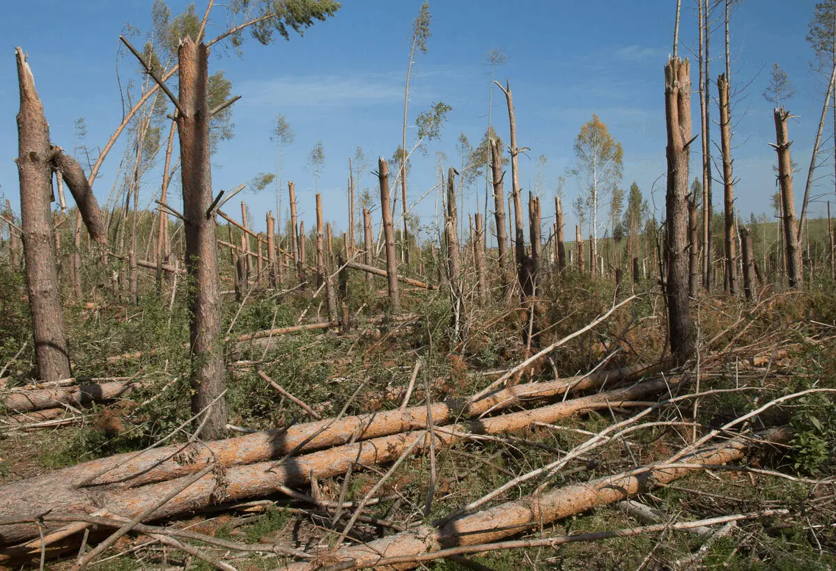 10 interesting facts about the Tunguska meteorite that are still difficult to explain