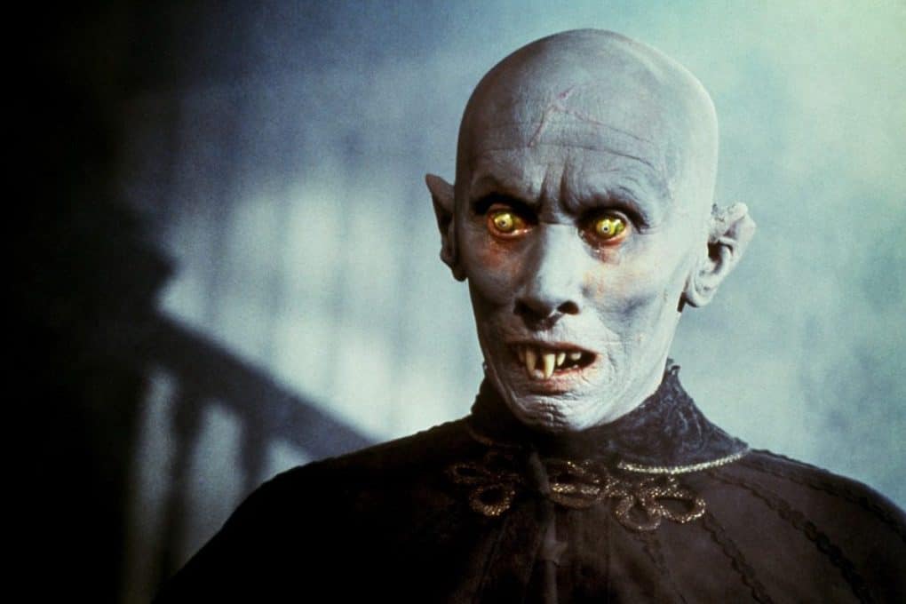 10 interesting facts about vampires