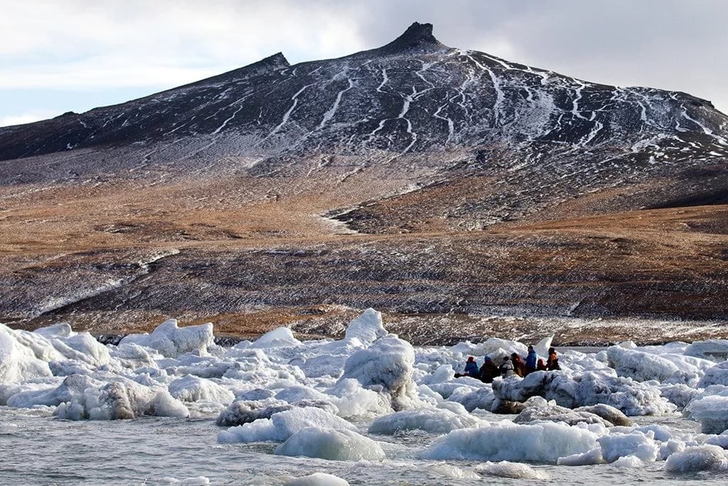 10 interesting facts about Wrangel Island - a unique reserve in Russia