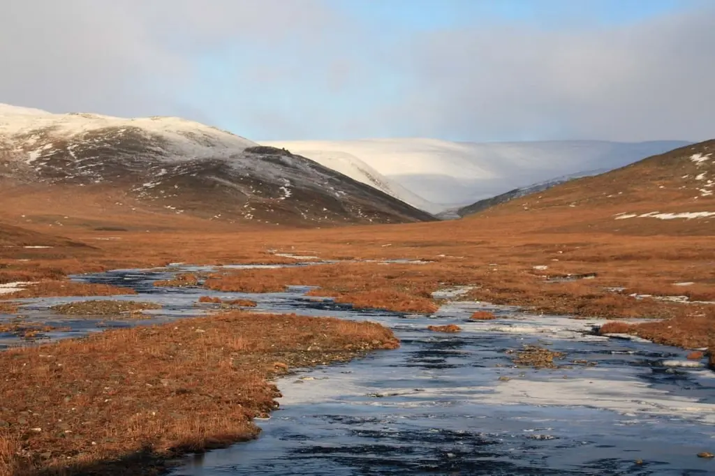 10 interesting facts about Wrangel Island - a unique reserve in Russia