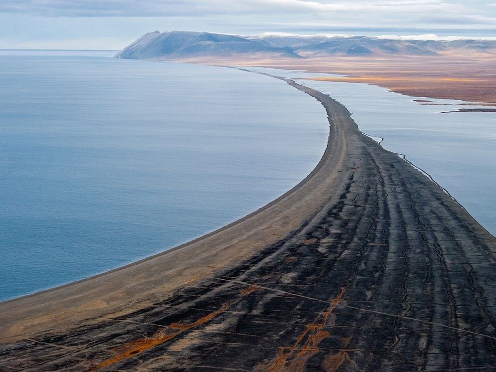 10 interesting facts about Wrangel Island - a unique reserve in Russia