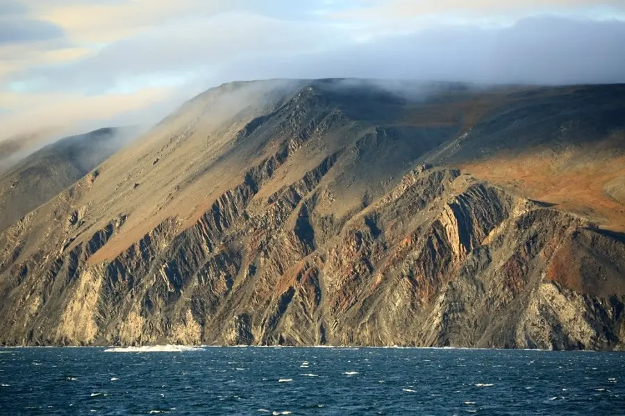 10 interesting facts about Wrangel Island - a unique reserve in Russia