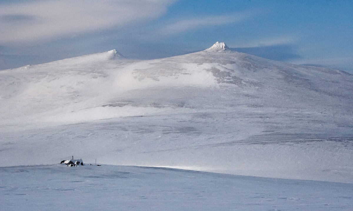 10 interesting facts about Wrangel Island - a unique reserve in Russia