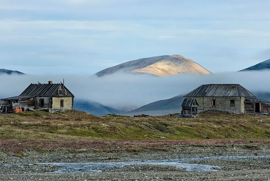 10 interesting facts about Wrangel Island - a unique reserve in Russia