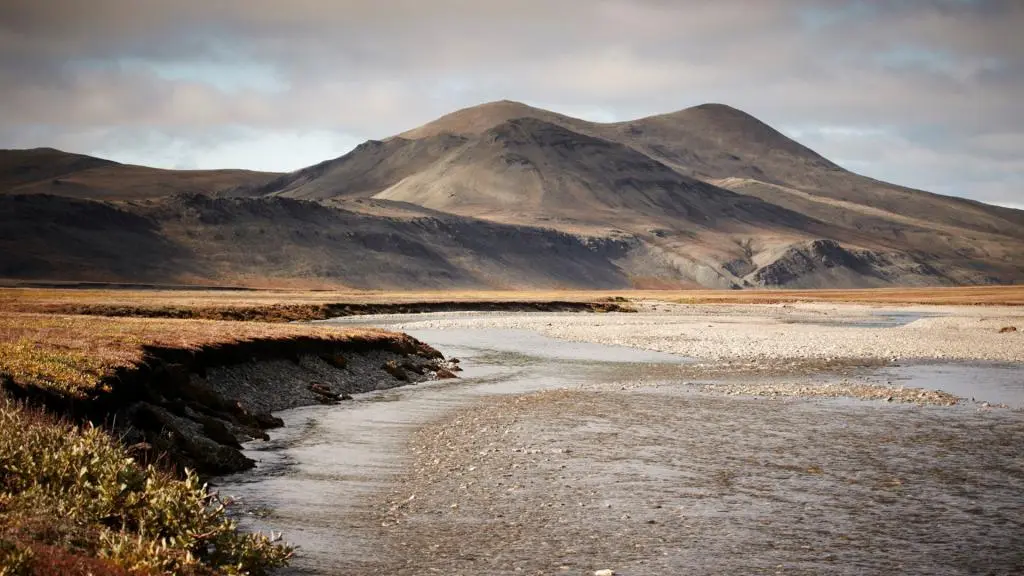 10 interesting facts about Wrangel Island - a unique reserve in Russia