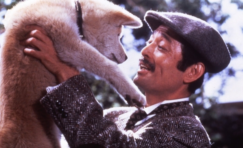 10 Loyal Dog Movies Like Hachiko