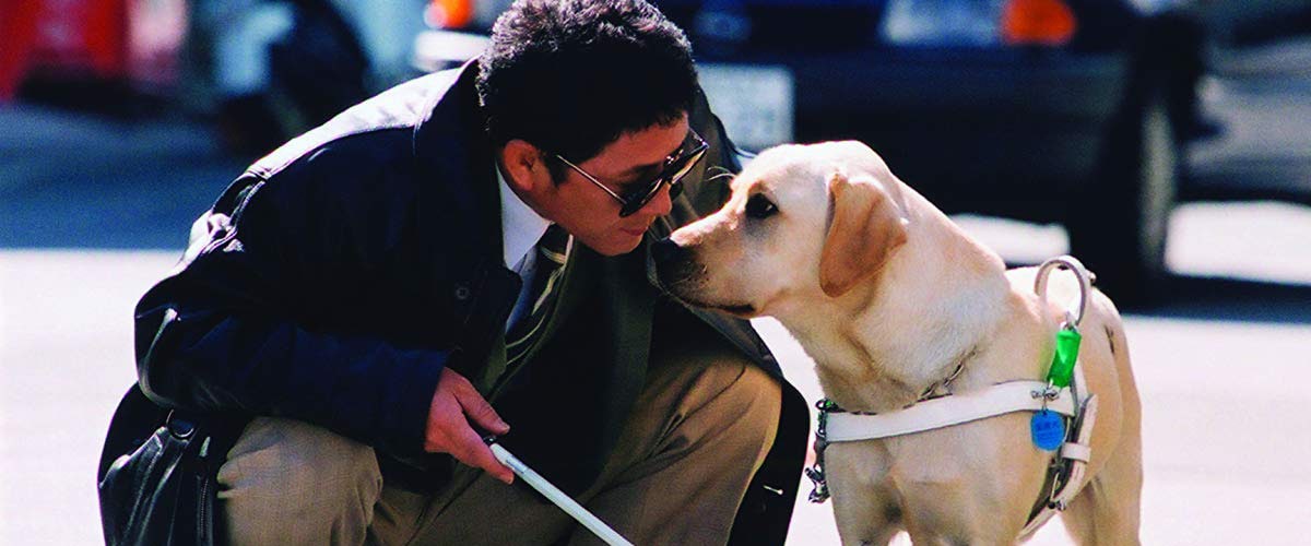 10 Loyal Dog Movies Like Hachiko