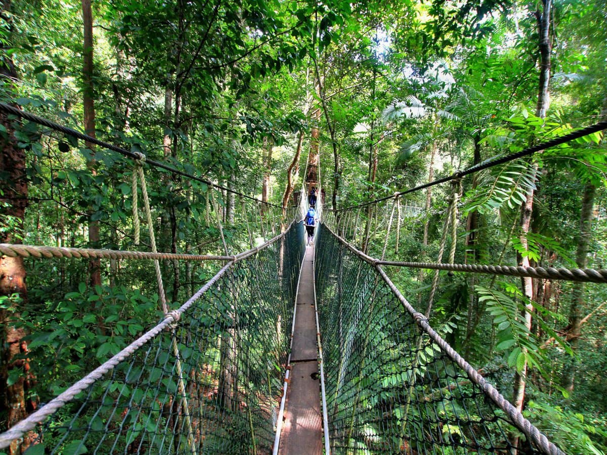 10 most dangerous bridges in the world