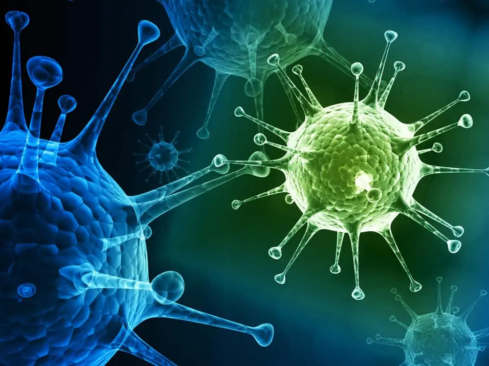 10 most dangerous viruses in the world for humans