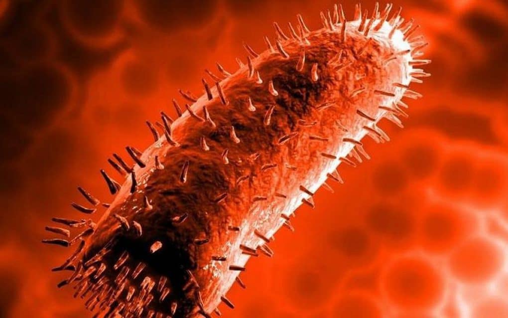 10 most dangerous viruses in the world for humans