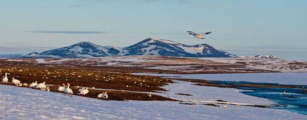 10 most famous nature reserves in Russia