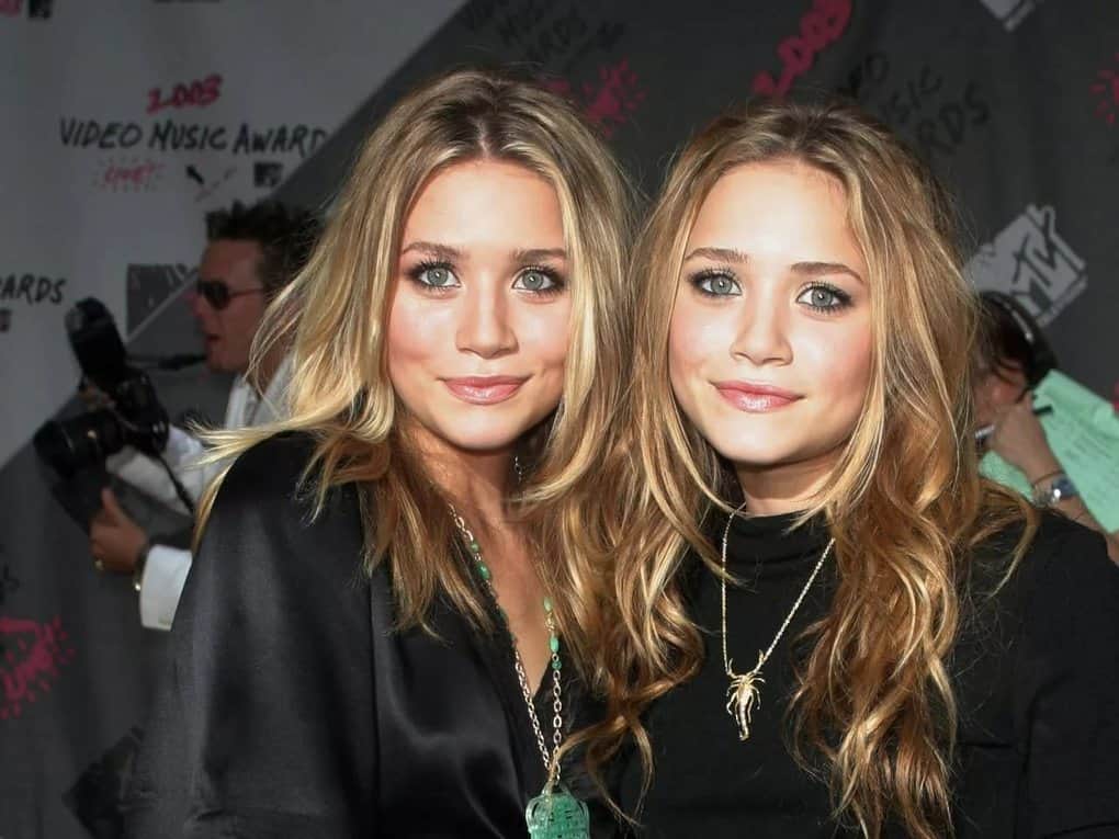 10 Most Famous Twins in Movies