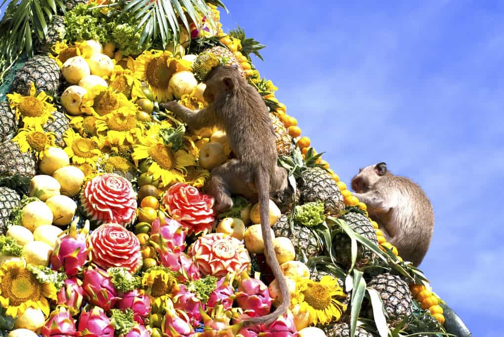 10 most unusual and crazy holidays in the world