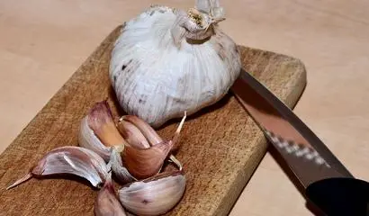 10 recipes for how to make dough for fishing with your own hands