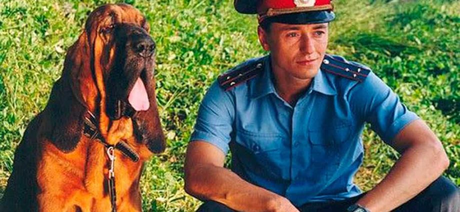 10 Russian films and series for the whole family, similar to &#8220;Matchmakers&#8221;