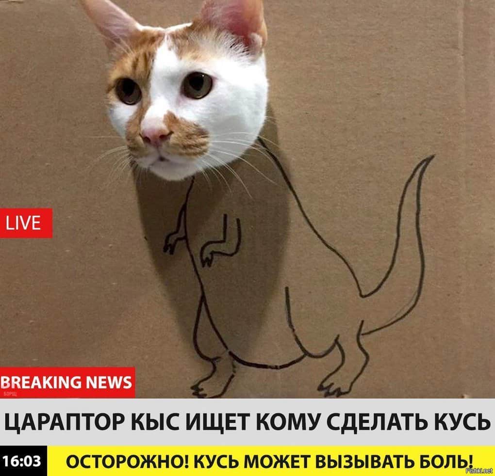 10 Russian memes that have become popular not only here