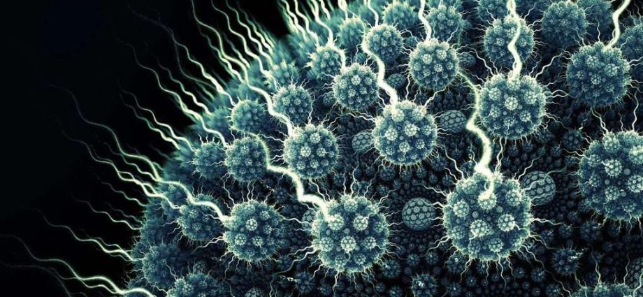 10 Shocking Facts About Viruses