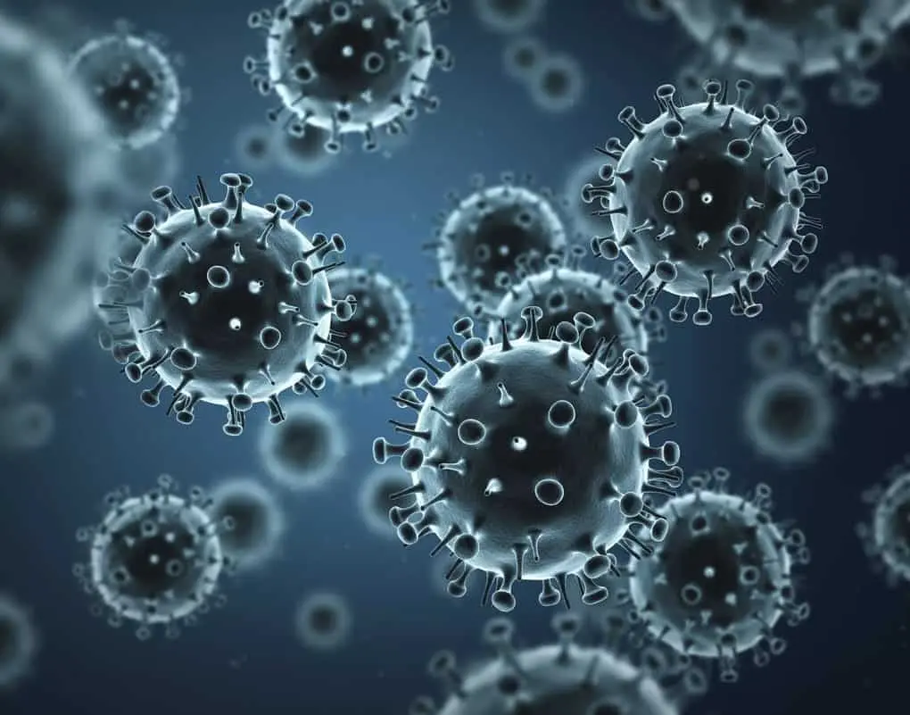 10 Shocking Facts About Viruses