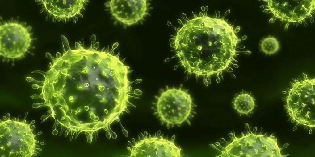 10 Shocking Facts About Viruses