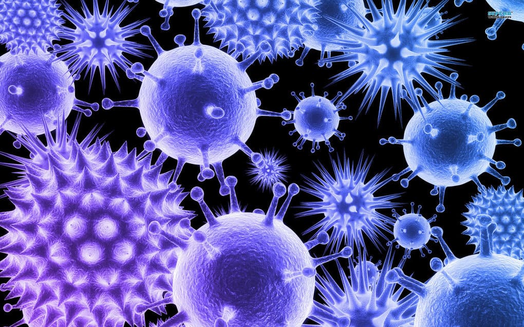 10 Shocking Facts About Viruses