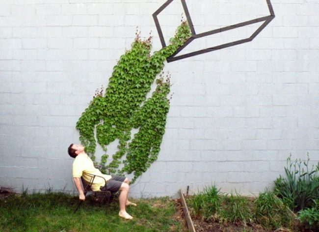 20 amazing moments when street art is in harmony with nature