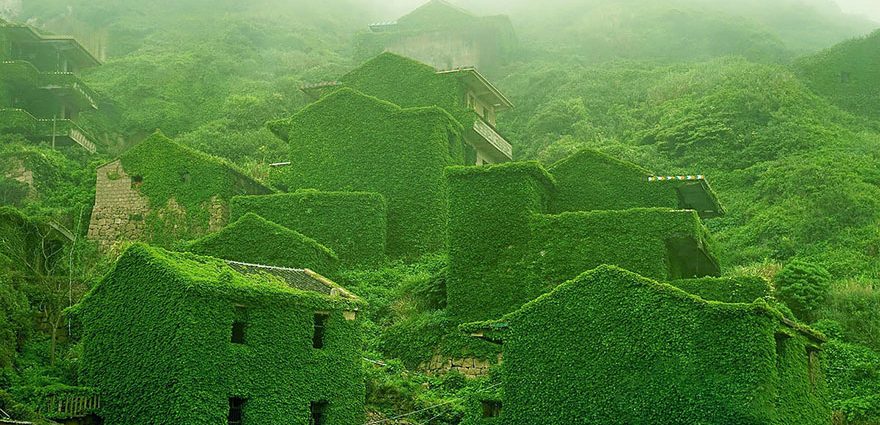 自然に包まれた中国の漁村