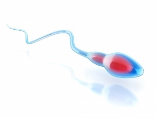 Alcohol and sperm quality?