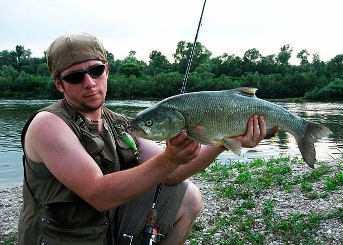 Asp fishing on small rivers: the choice of gear and lures