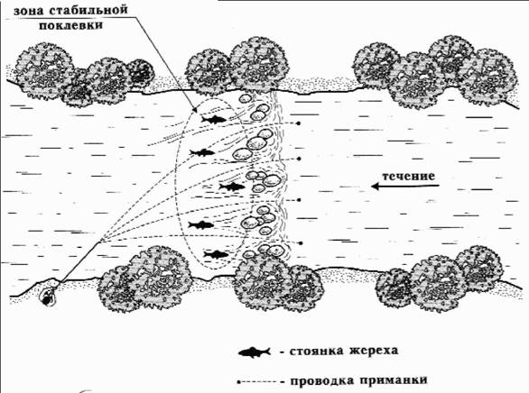 Asp fishing: tackle, what to catch asp, where to catch