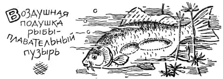 At what atmospheric pressure does the fish bite better, high and low pressure