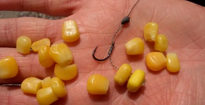 Bait for bream, an overview of the best baits by season