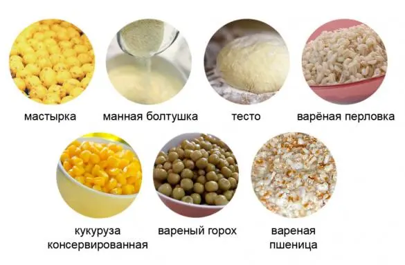 Bait for carp fishing: spring, summer, autumn, winter
