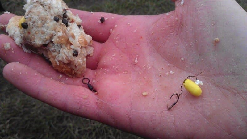 Bait for catching bream in summer