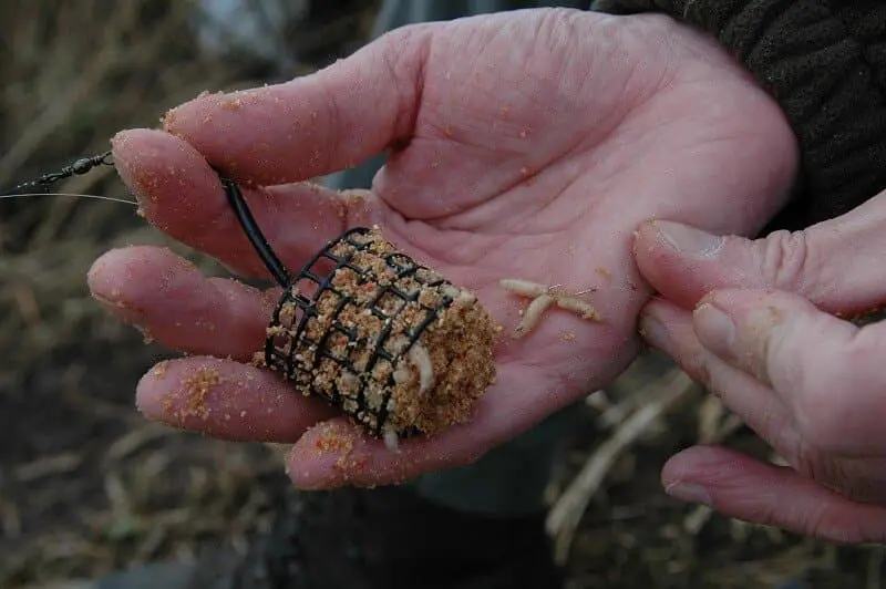 Bait for catching bream in summer