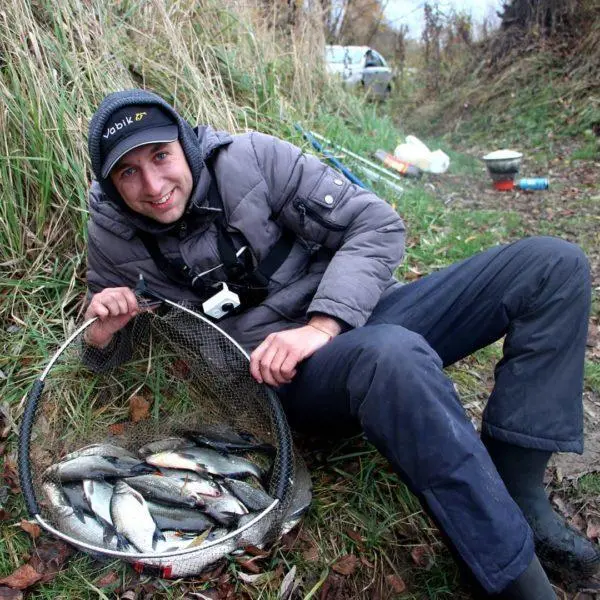 Bait for millet bream