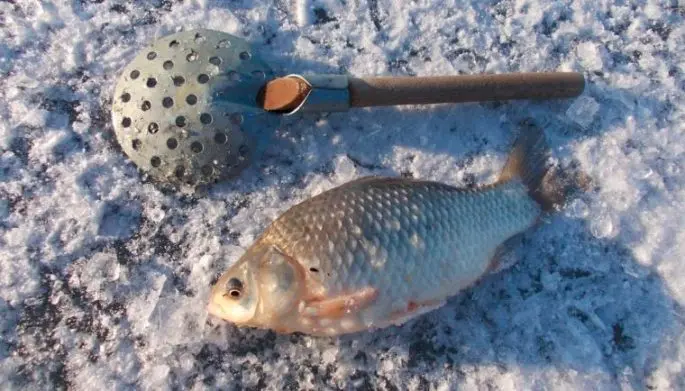 Bait for winter fishing with your own hands - the best recipes