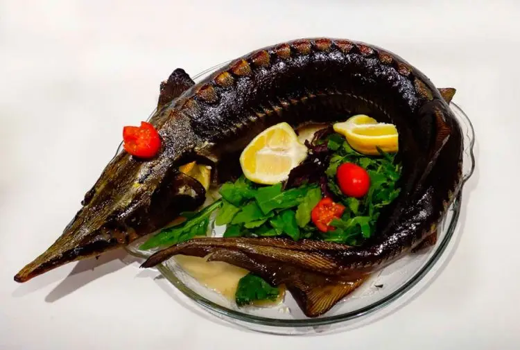 Baked sturgeon in the oven: delicious recipes whole and in pieces