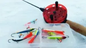 Balancers for perch