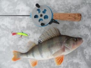 Balancers for perch