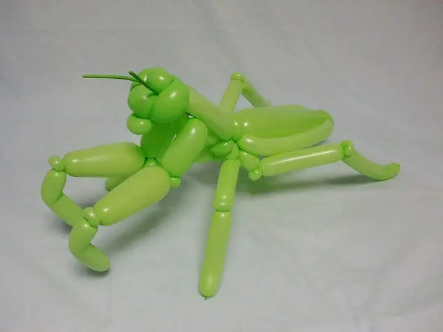 Balloon animals made by Japanese artist (16 photos)