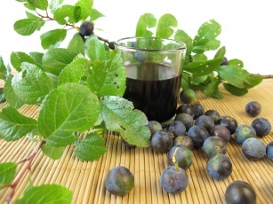 Blackthorn &#8211; health and healing properties of blackthorn fruit, flower and juice