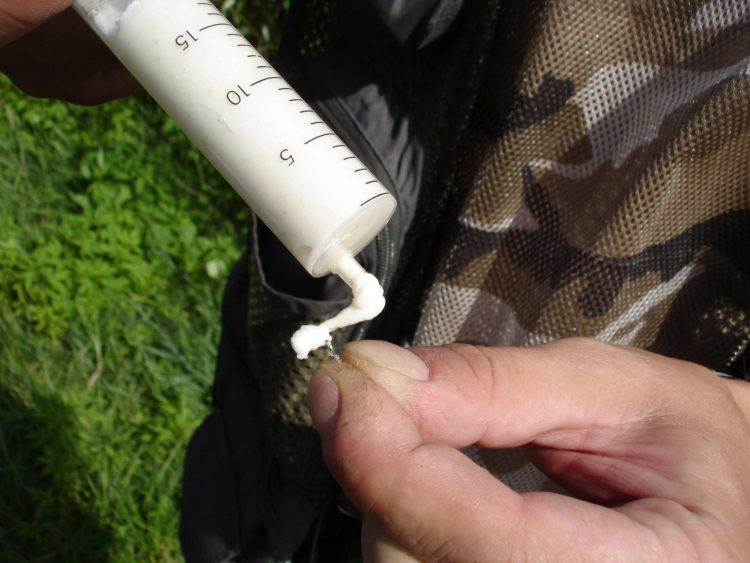 Bleak fishing: gear selection and equipment installation, effective baits and baits