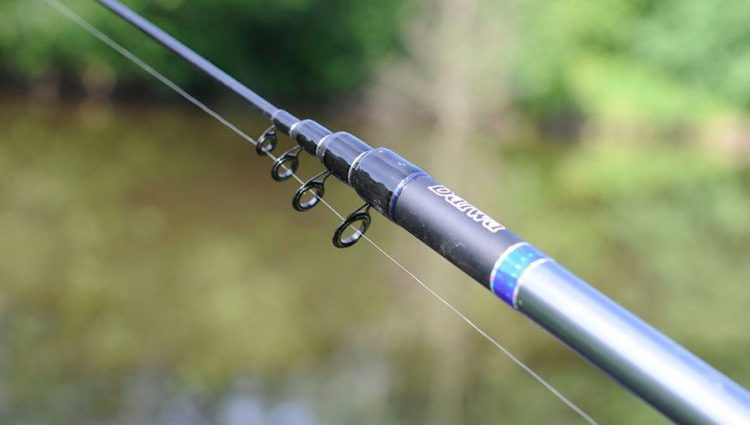 Bologna fishing rod: differences, equipment and fishing tactics, advantages