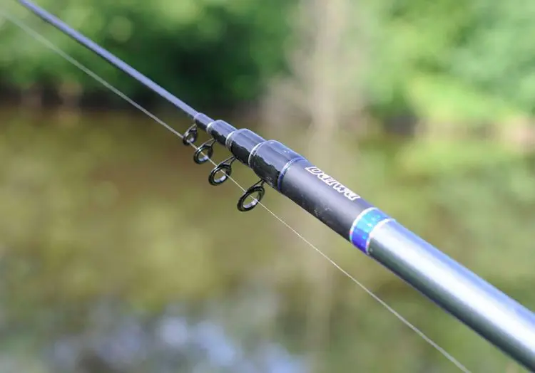 Bologna fishing rod: differences, equipment and fishing tactics, advantages