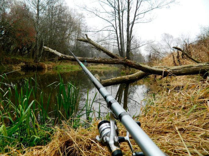 Bologna fishing rod: differences, equipment and fishing tactics, advantages