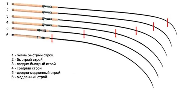 Bologna fishing rod: differences, equipment and fishing tactics, advantages